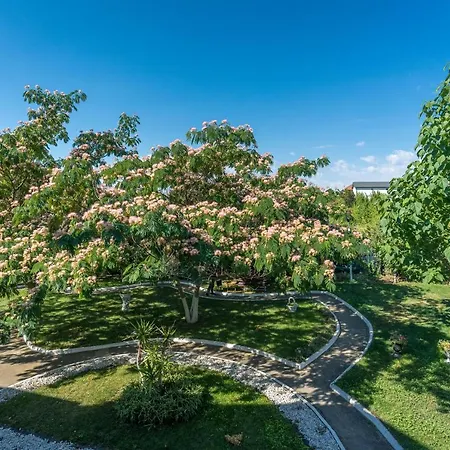 Cataleya Pensión Venus